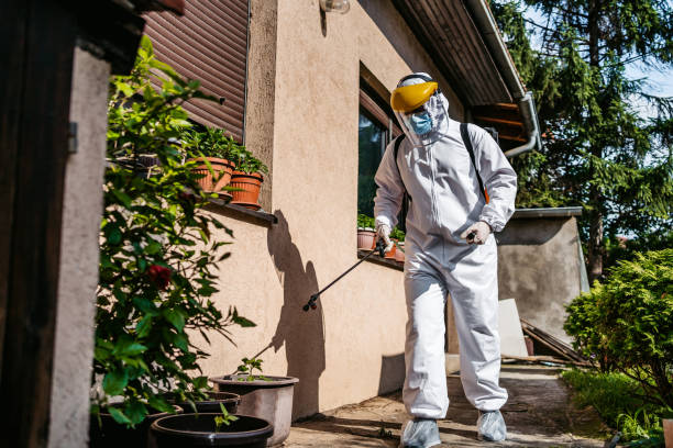 Best Local Pest Control Services  in Boston, MA